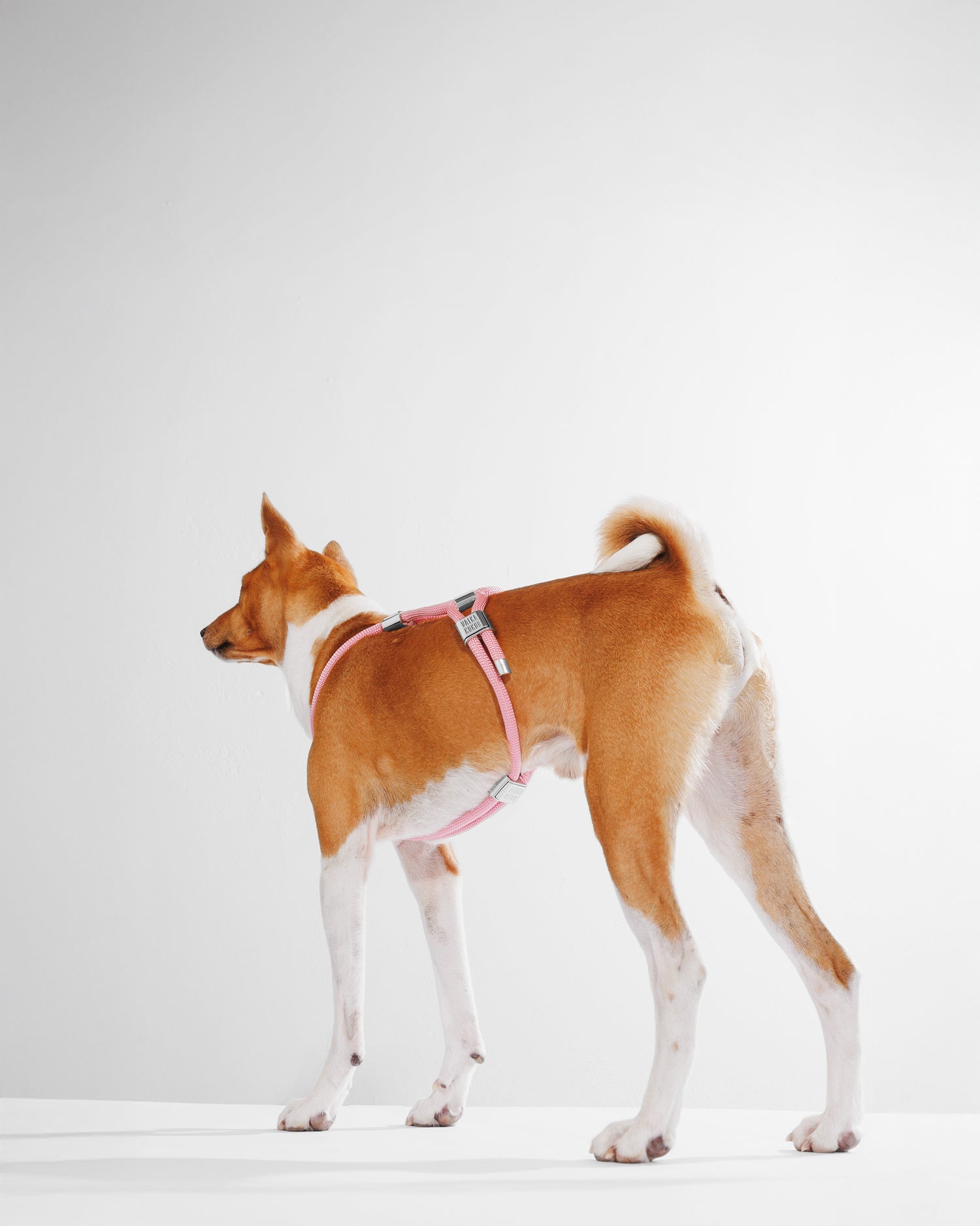 Harness|胸背帶-泡泡粉