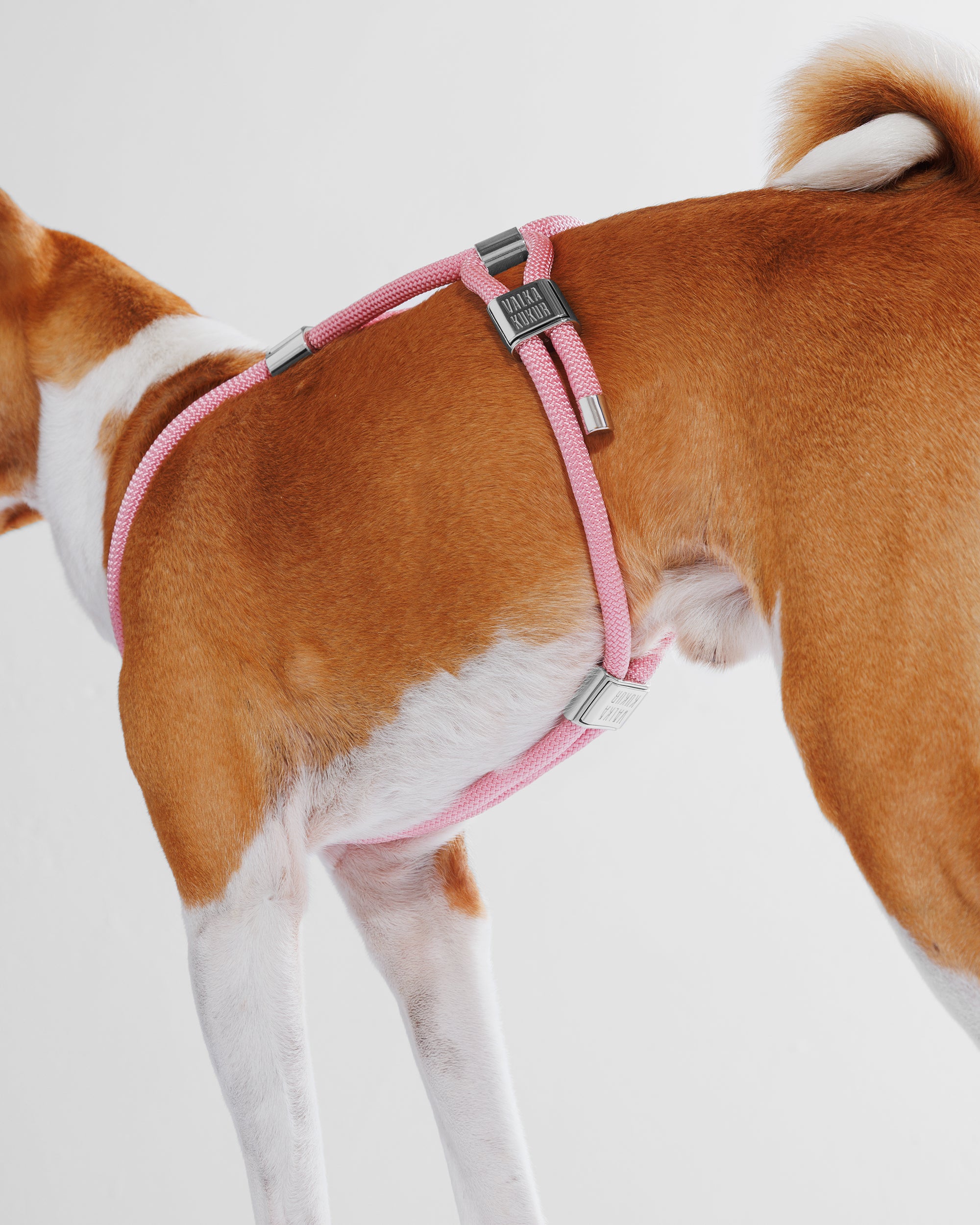 Harness|胸背帶-泡泡粉