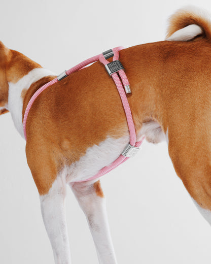 Harness|胸背帶-泡泡粉