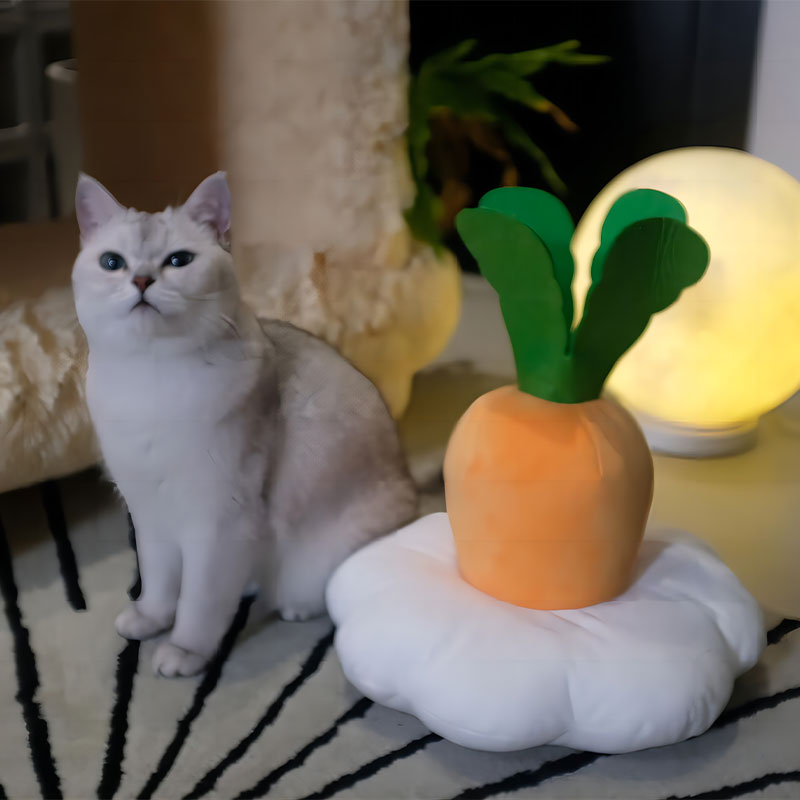 FLUFFY CARROT 軟綿綿紅蘿蔔