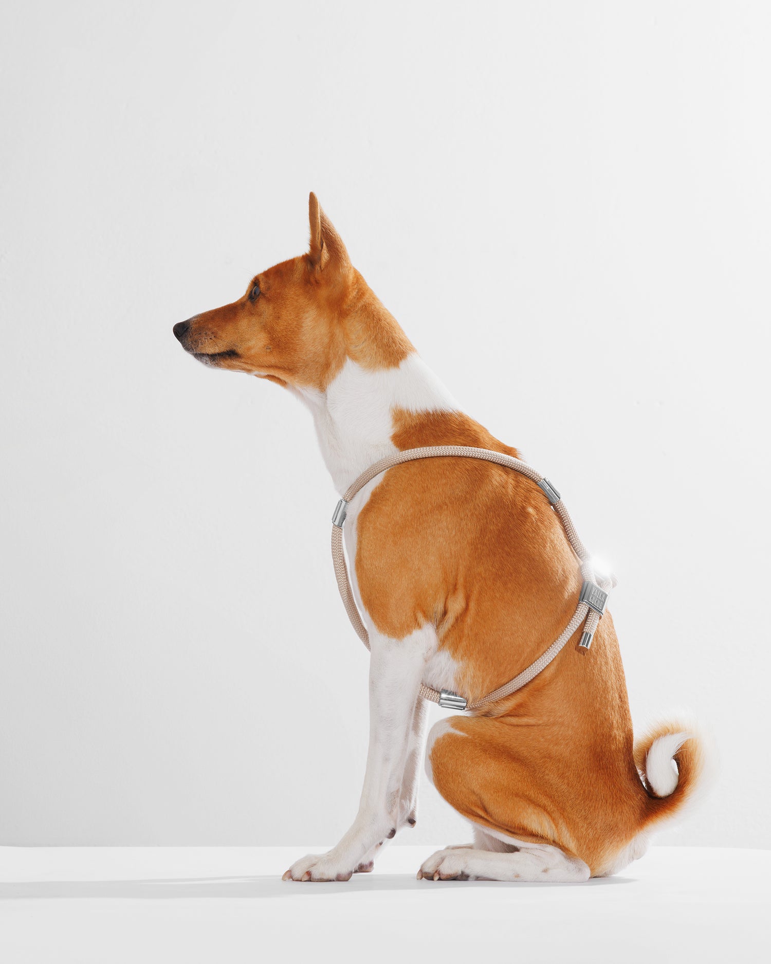 Harness|胸背帶-奶灰