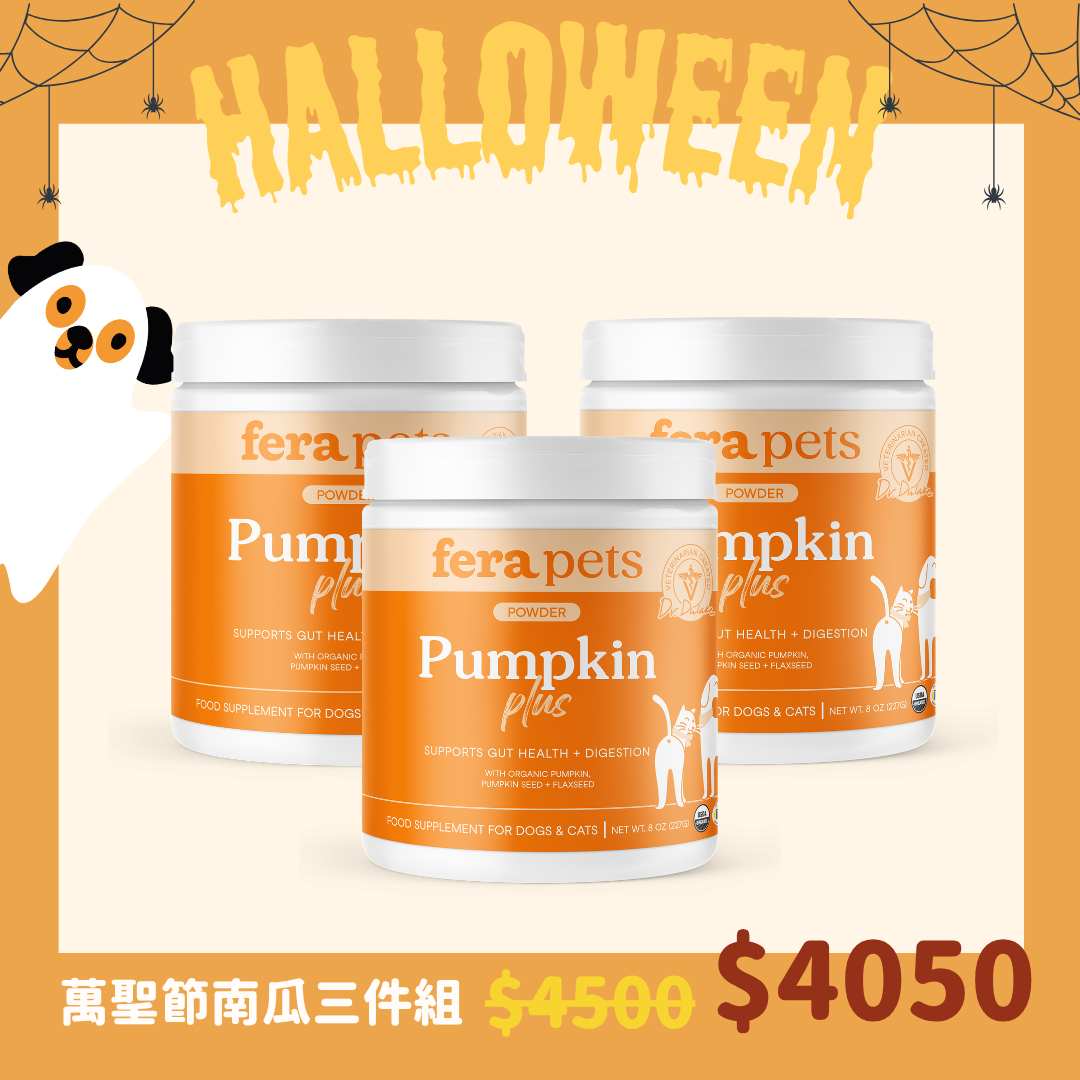 Pumpkin Fiber