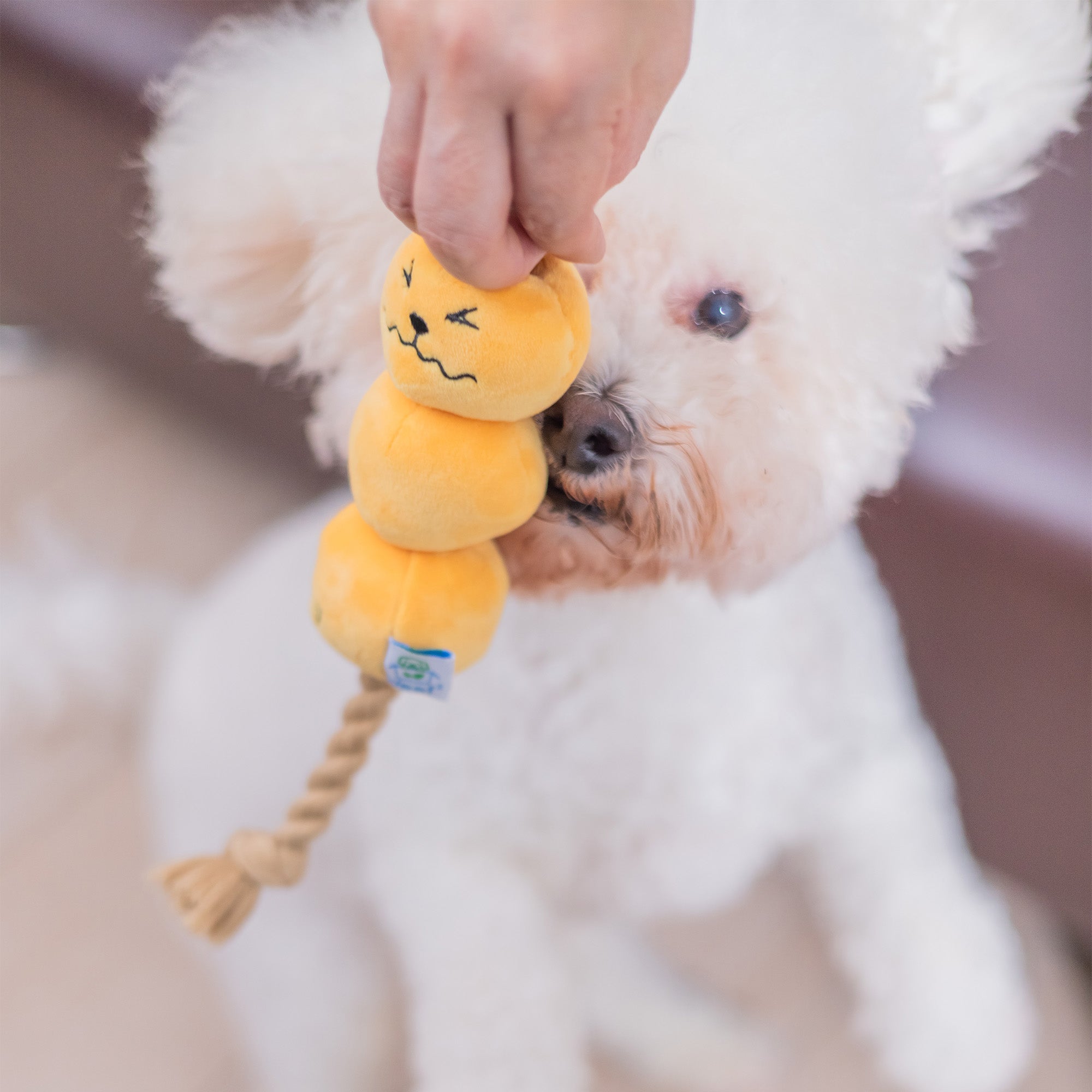 Woof² Curry Fishball Pet Toys 咖哩魚蛋寵物玩具