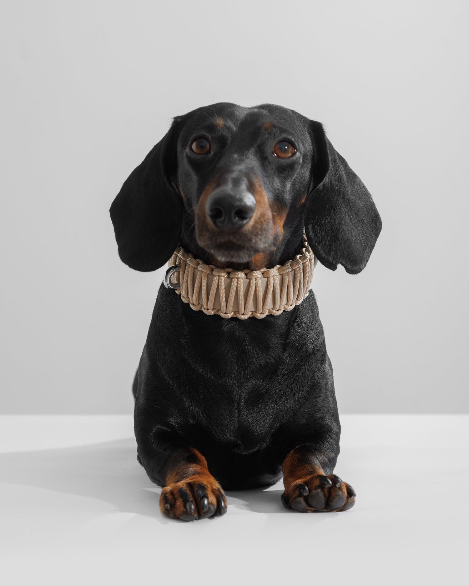 VALKA KUKUR - GALAN 項圈 -Créme de la Créme 奶灰