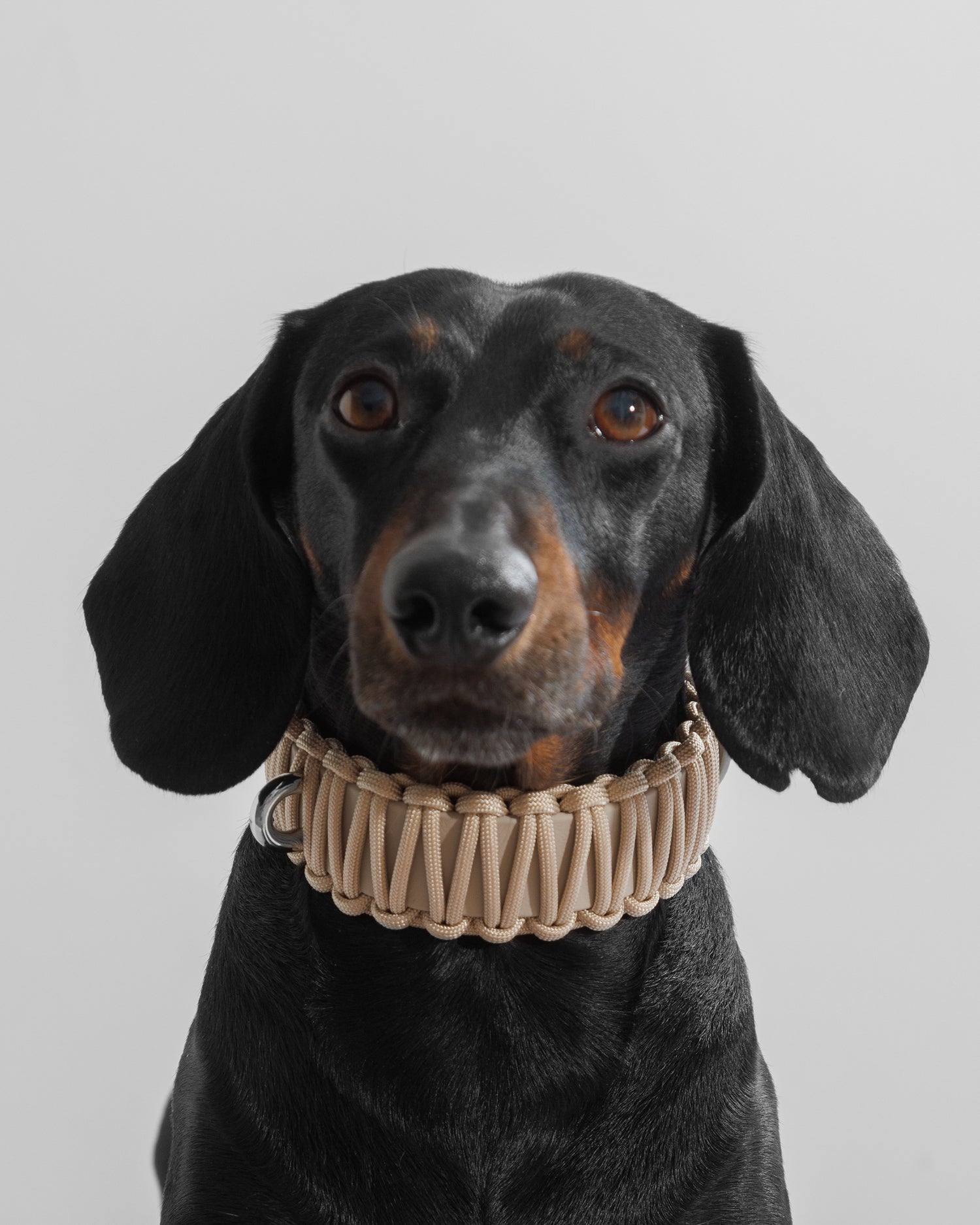 VALKA KUKUR - GALAN 項圈 -Créme de la Créme 奶灰