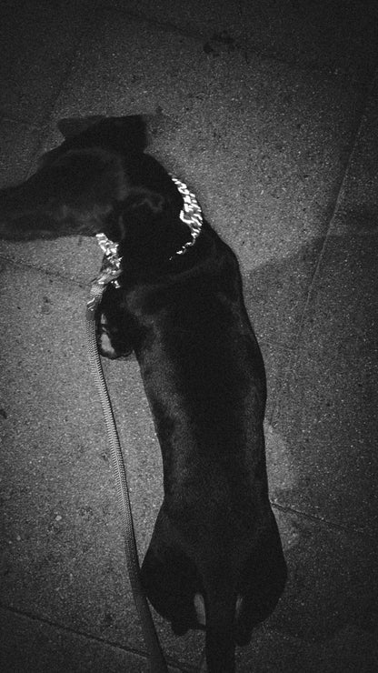 VALKA KUKUR - GALAN 項圈 - Ｗerewolf Gray 狼灰色