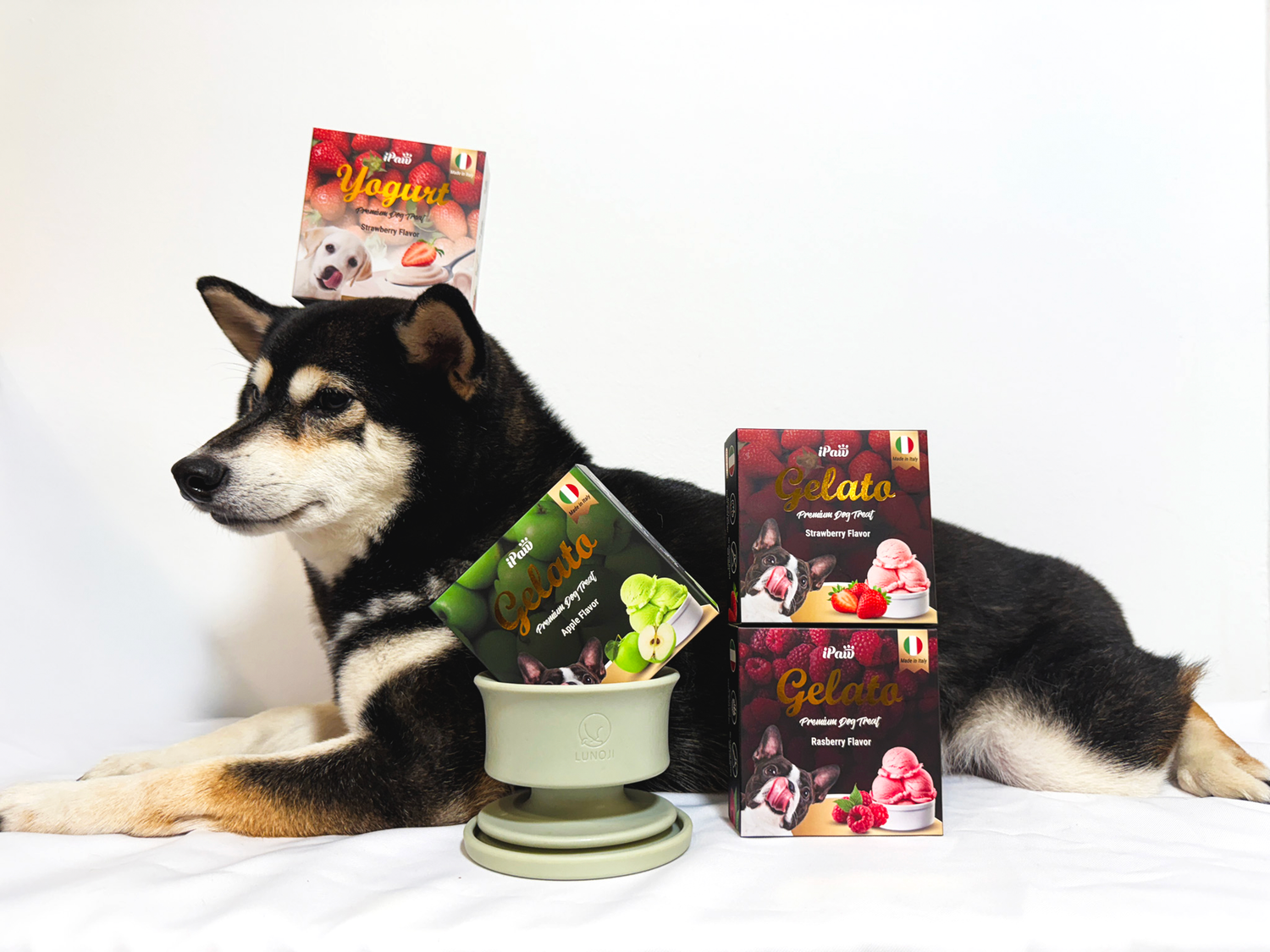 【Lunoji x iPaw】聯名組合 🎉 毛孩的夏日派對 Summer Paw-ty! 🎉 冰淇淋款