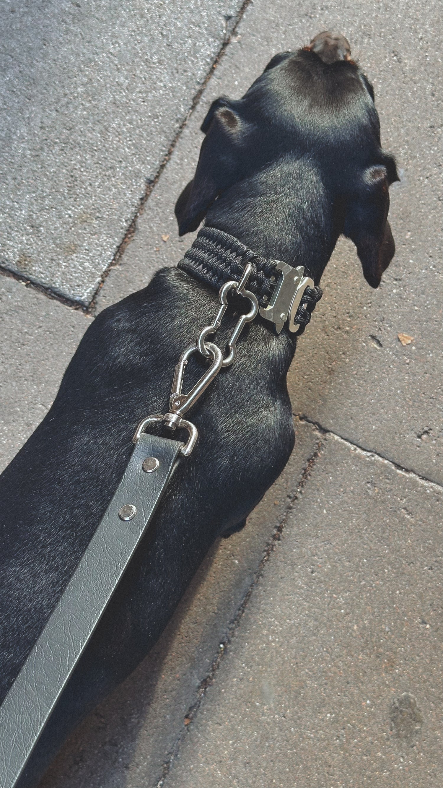 VALKA KUKUR - STELLAR 骨頭扣環