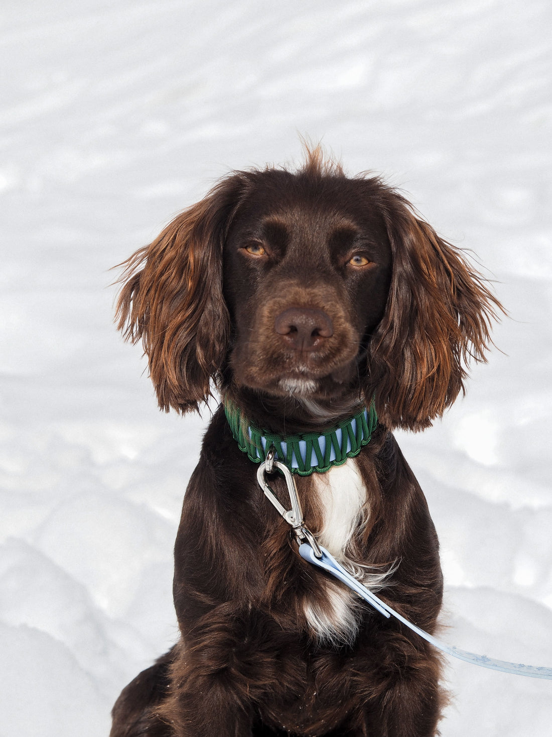 VALKA KUKUR - GALAN 項圈 - Watergreen 湖水綠