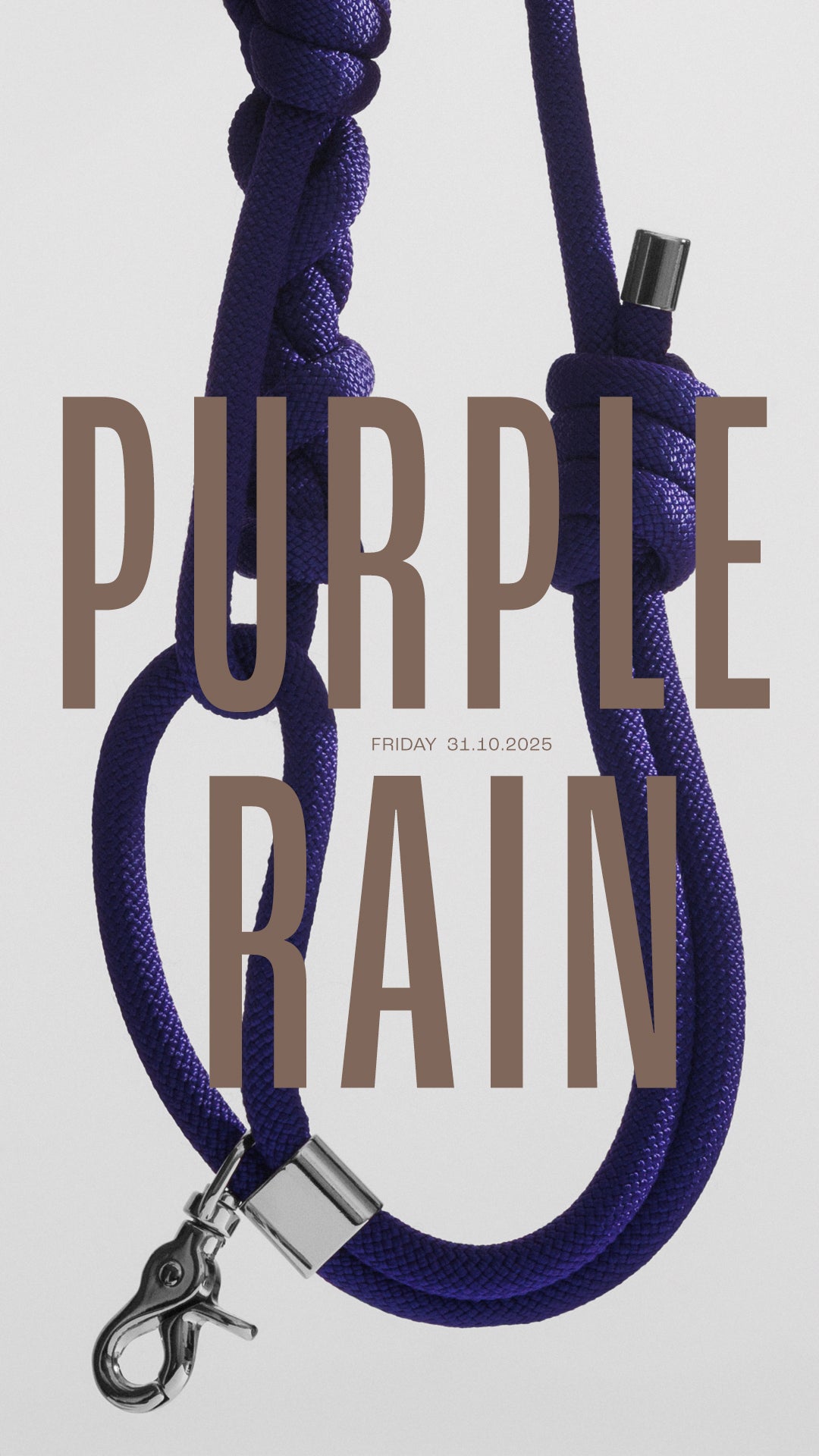 Bold系列牽繩組 - 紫 Purple