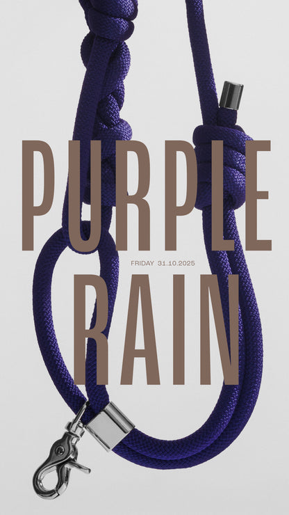 Bold系列牽繩組 - 紫 Purple