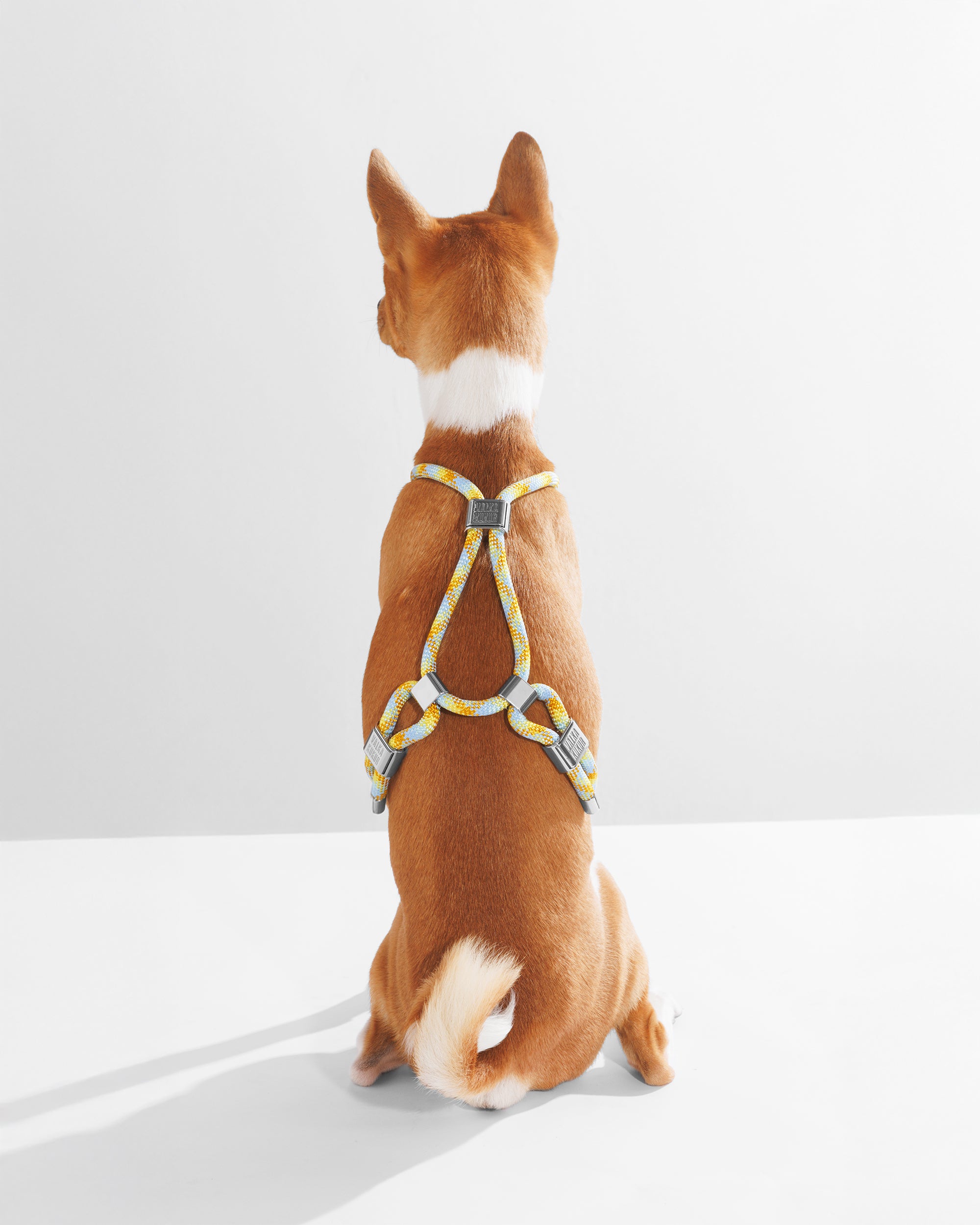 Harness|胸背帶-檸檬藍