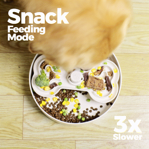 Puzzle Feeder 旋轉拼圖多功能環保慢食碗