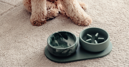 Pino Slow Feeder Bowls 極簡慢⻝碗