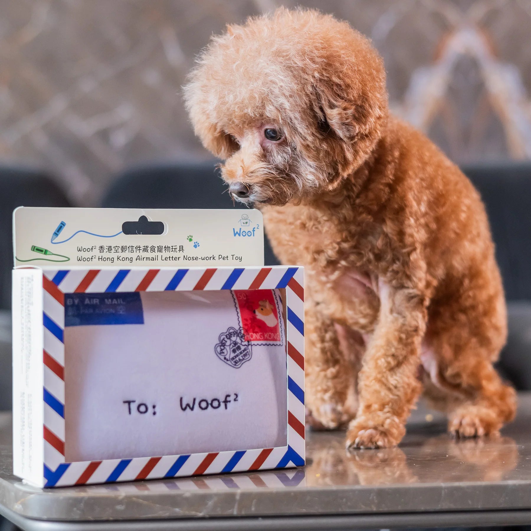 Woof²  香港空郵信件藏食毛絨寵物玩具