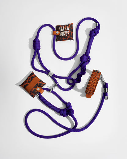 Bold系列牽繩組 - 紫 Purple