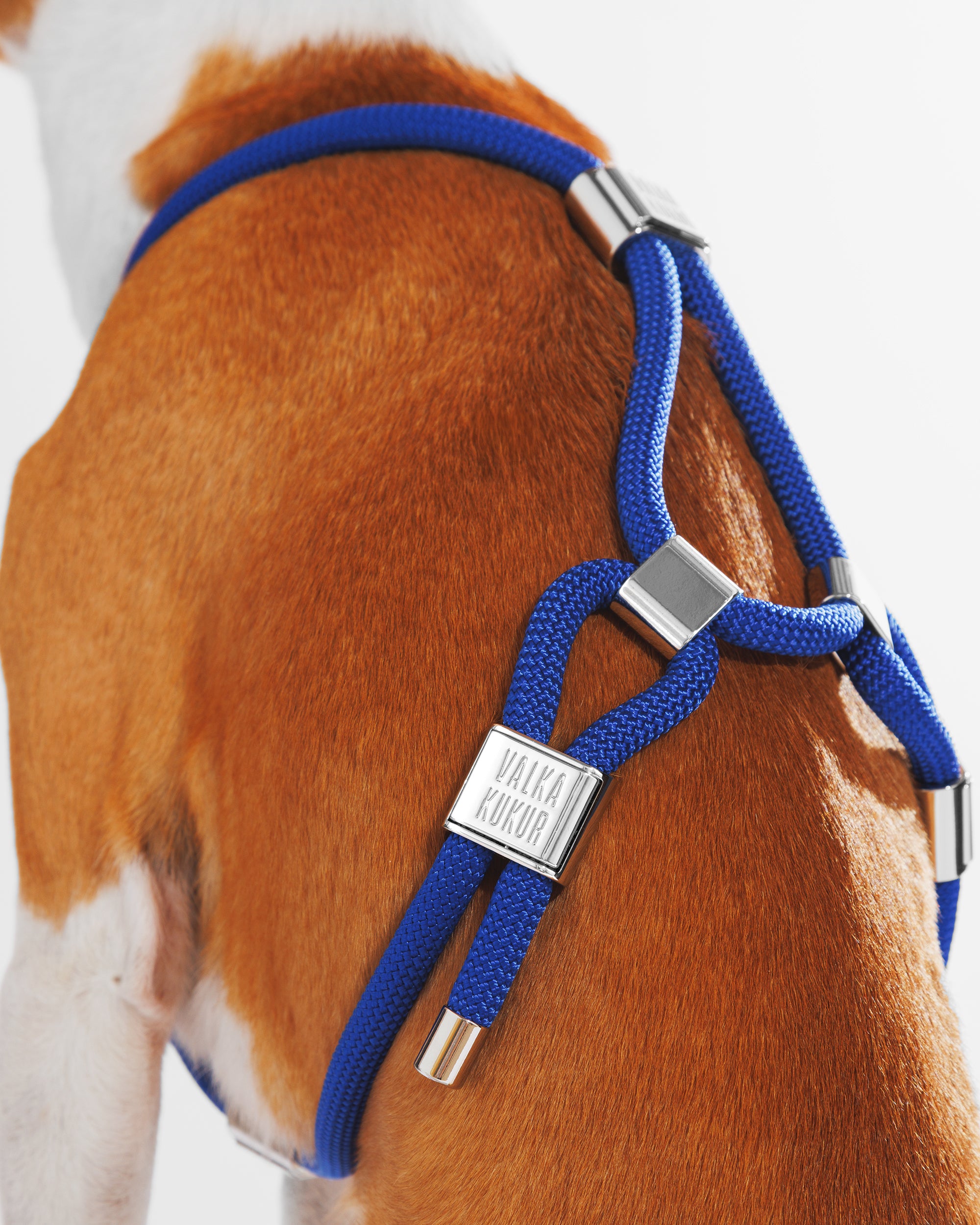 Harness|胸背帶-皇家藍