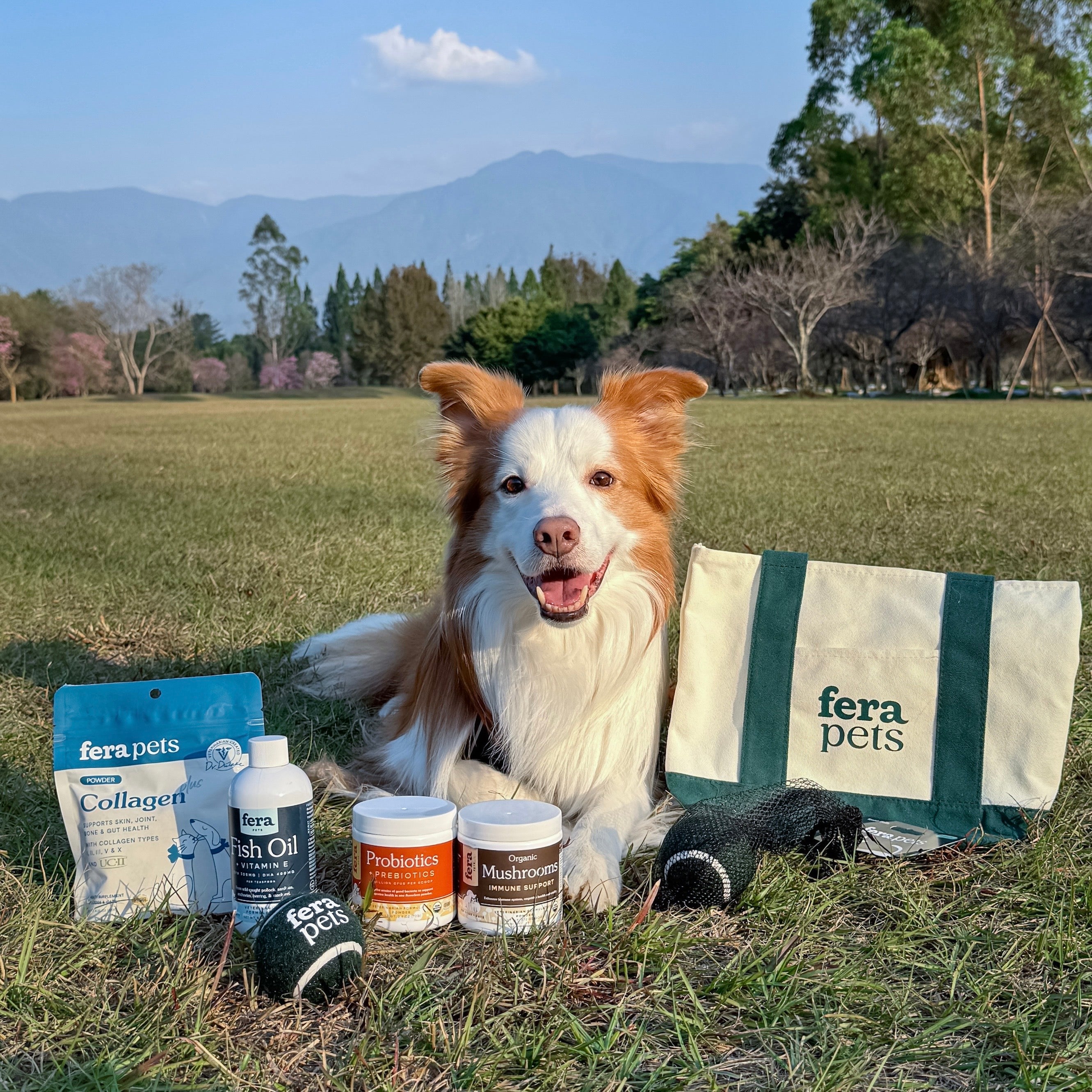 ✨珺珺＆布布精選組合 (大罐魚油）✨