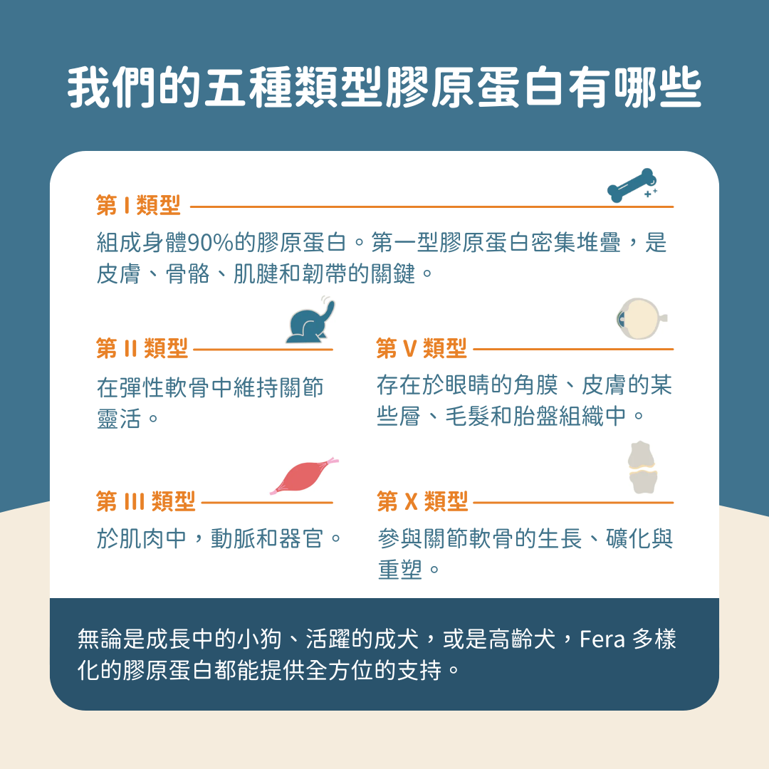 UC-II® 膠原蛋白關節保健+ (犬貓專用）