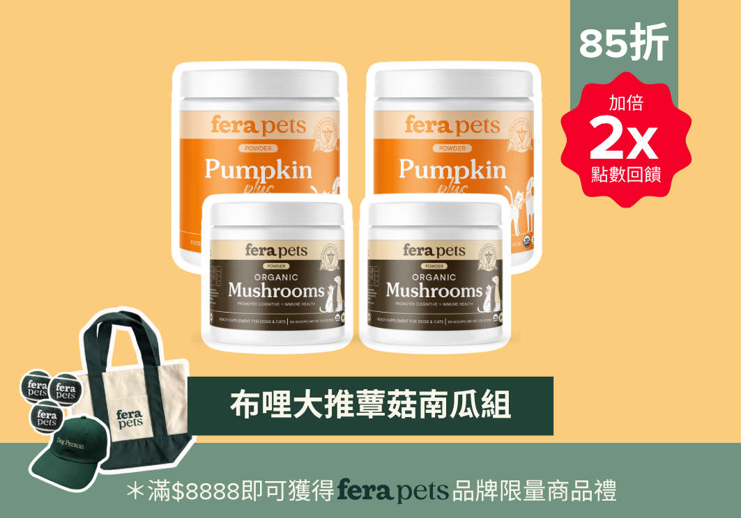 「FERA 南瓜蕈菇組」