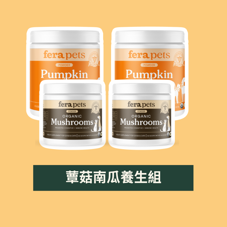 「FERA 南瓜蕈菇組」