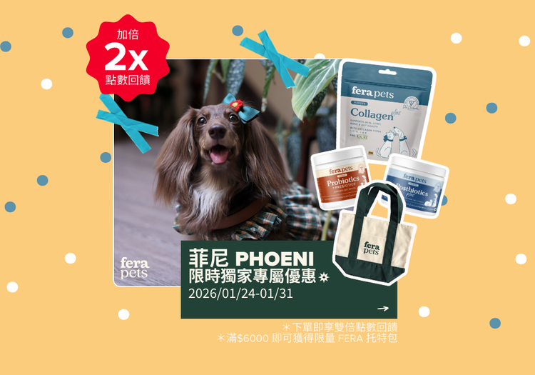 菲尼愛用組合 ✨