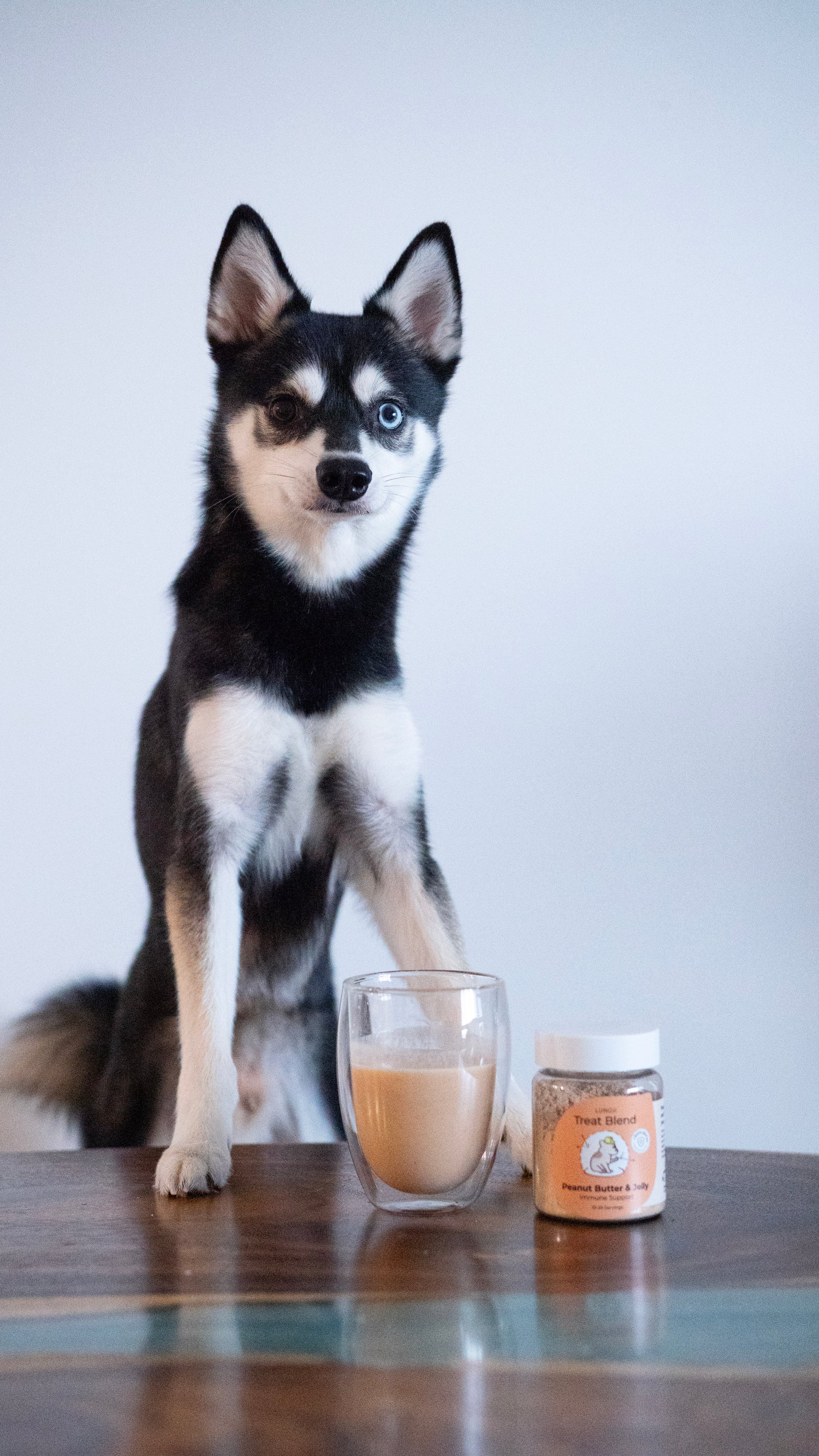 Treat Blend 派冰樂